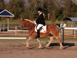 IMG_7579_web